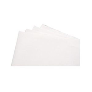 Pack 1000 Manteles Papel Individuales. Medidas 35x49CM. 1 Capa.