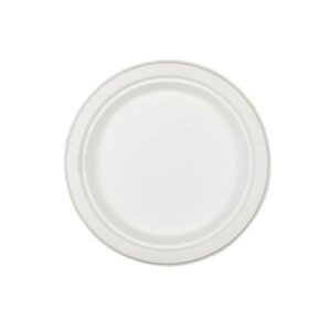 Plato Pulpa Celulosa Compostable 22cm