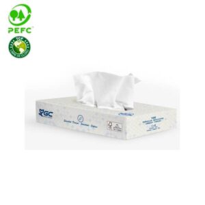 Pañuelos Faciales Tissue 80 estuches de 100 pañuelos